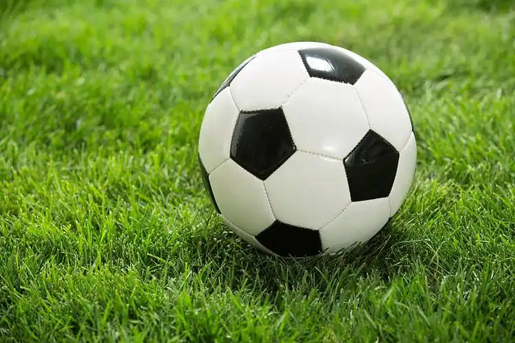 体育爱好者场景